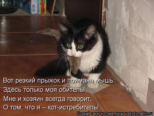Вот резкий прыжок и поймана мышь: О том, что я – кот-истребитель! Мне и хозяин всегда говорит, Здесь ... Котоматрица: Вот резкий прыжок и поймана мышь: О том, что я – кот-истребитель! Мне и хозяин всегда говорит, Здесь только моя обитель!