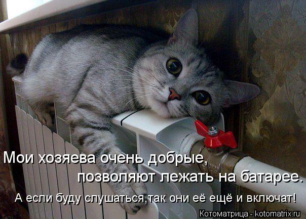 Котоматрица: Мои хозяева очень добрые, позволяют лежать на батарее. А если буду слушаться,так они её ещё и включат!