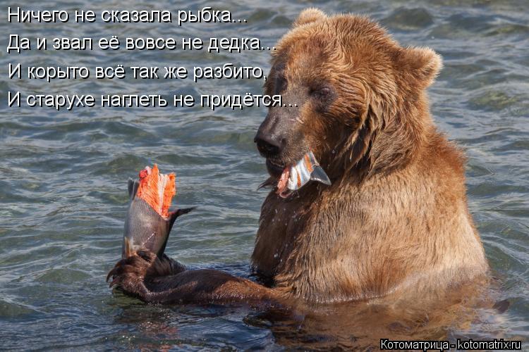 Ничего не сказала рыбка... Да и звал её вовсе не дедка... И корыто всё так же разбито, И старухе нагл... Котоматрица: Ничего не сказала рыбка... Да и звал её вовсе не дедка... И корыто всё так же разбито, И старухе наглеть не придётся...