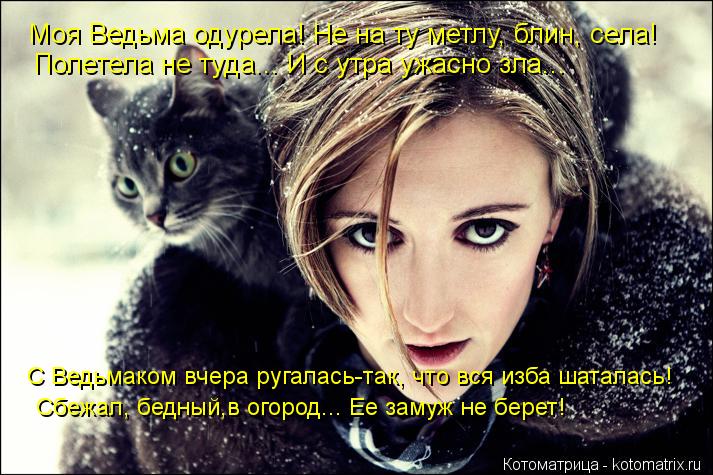 Котоматрица: Моя Ведьма одурела! Не на ту метлу, блин, села! Полетела не туда... И с утра ужасно зла... С Ведьмаком вчера ругалась-так, что вся изба шаталась! 