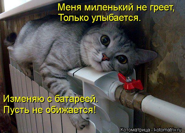 Меня миленький не греет, Только улыбается. Изменяю с батареей. Пусть не обижается!... Котоматрица: Меня миленький не греет, Только улыбается. Изменяю с батареей. Пусть не обижается!
