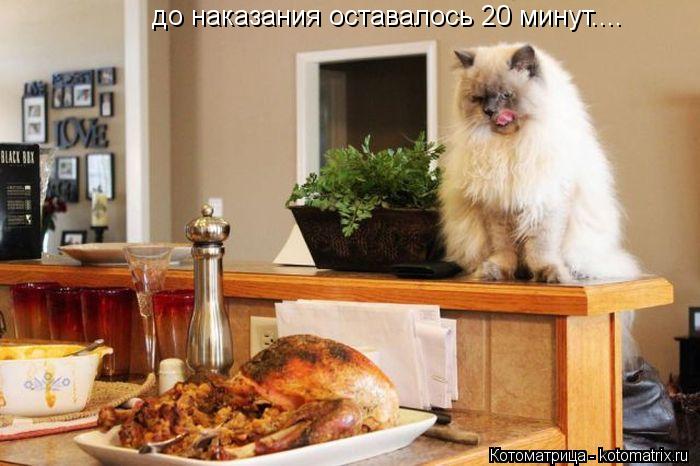 до наказания оставалось 20 минут....... Котоматрица: до наказания оставалось 20 минут....