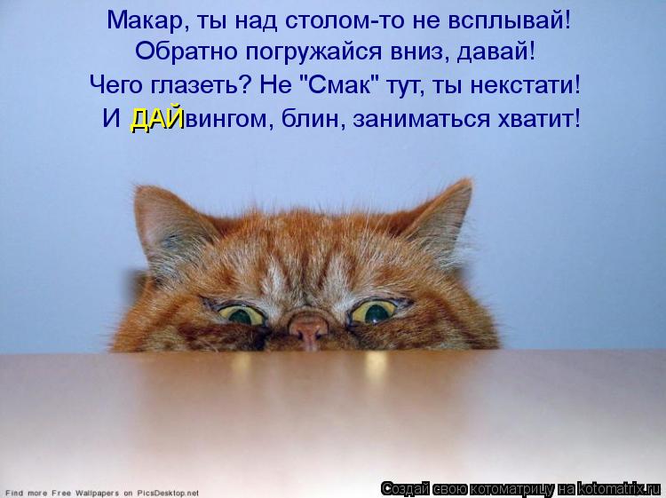 Макар, ты над столом-то не всплывай! Обратно погружайся вниз, давай! И вингом, блин, занимать... Котоматрица: Макар, ты над столом-то не всплывай! Обратно погружайся вниз, давай! И вингом, блин, заниматься хватит! ДАЙ Чего глазеть? Не "Смак" тут, ты