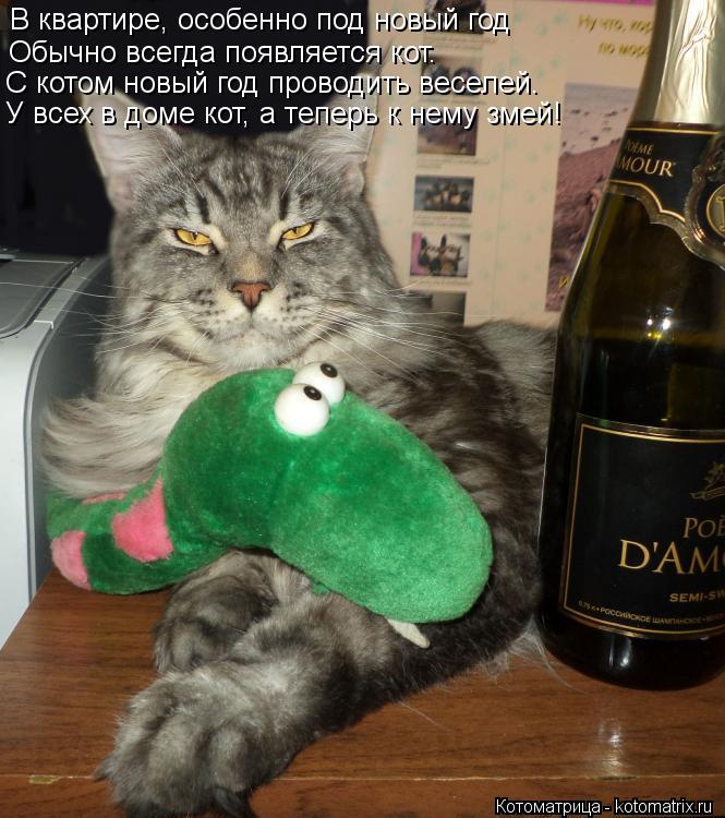 Котоматрица: В квартире, особенно под новый год Обычно всегда появляется кот. С котом новый год проводить веселей. У всех в доме кот, а теперь к нему змей!