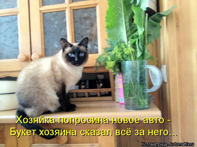 Хозяйка попросила новое авто - Букет хозяина сказал всё за него...... Котоматрица: Хозяйка попросила новое авто - Букет хозяина сказал всё за него...