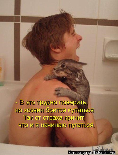 - В это трудно поверить, но хозяин боится купаться. Так от страха кричит, что и я начинаю пугаться... Котоматрица: - В это трудно поверить, но хозяин боится купаться. Так от страха кричит, что и я начинаю пугаться.
