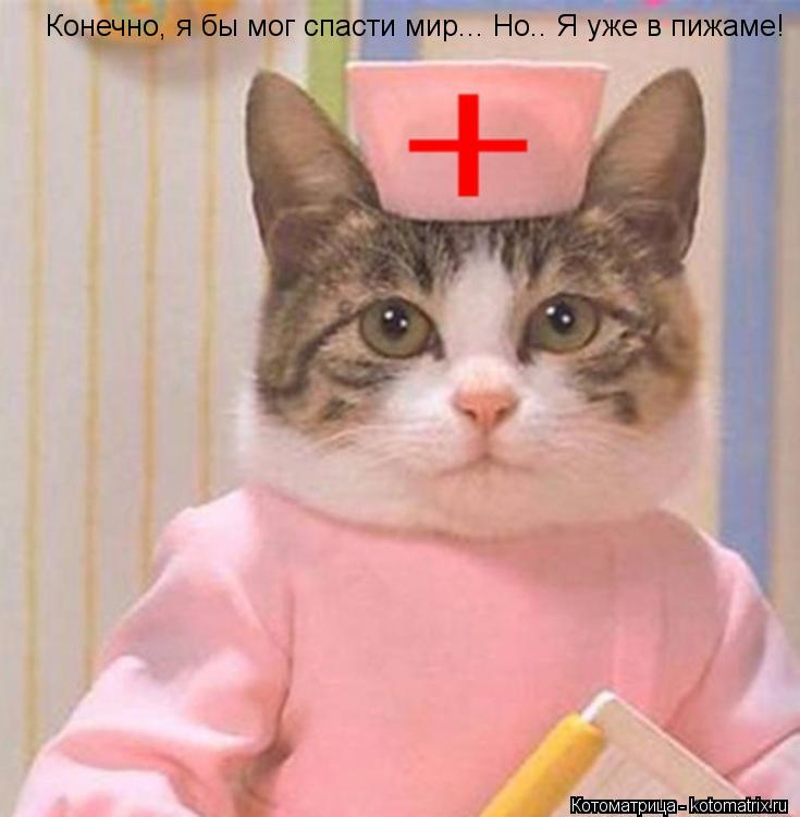 http://kotomatrix.ru/images/lolz/2012/12/12/kotomatritsa_q3.jpg