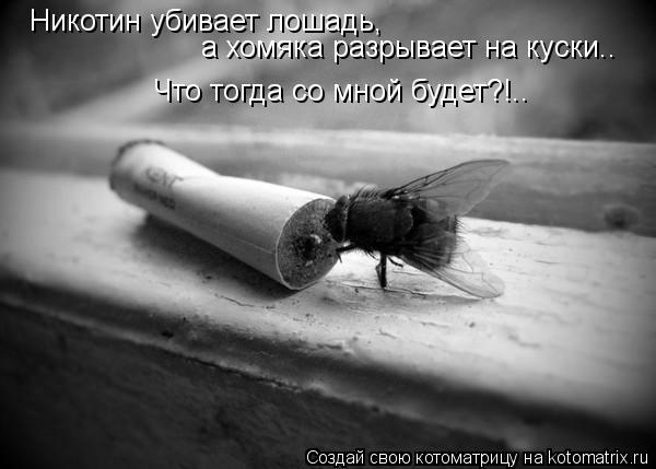 Признаки грибка на ногте на ногах