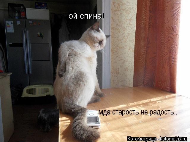 ой спина! мда старость не радость..... Котоматрица: ой спина! мда старость не радость..