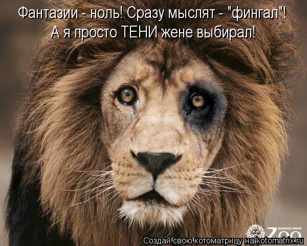 Фантазии - ноль! Сразу мыслят - "фингал"! А я просто ТЕНИ жене выбирал!... Котоматрица: Фантазии - ноль! Сразу мыслят - "фингал"! А я просто ТЕНИ жене выбирал!