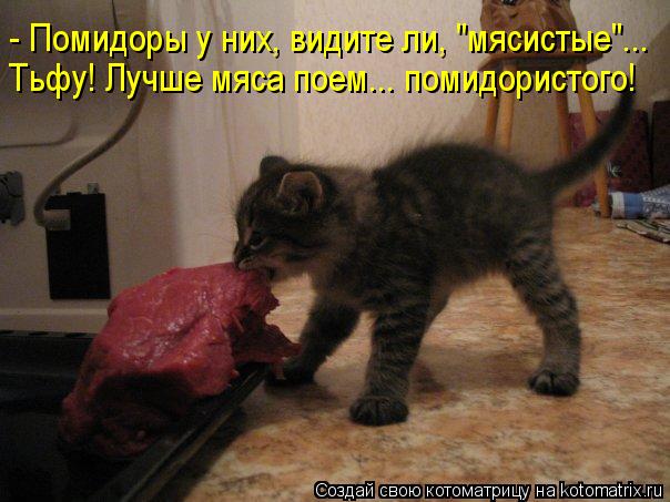 - Помидоры у них, видите ли, "мясистые"... Тьфу! Лучше мяса поем... помидористого!... Котоматрица: - Помидоры у них, видите ли, "мясистые"... Тьфу! Лучше мяса поем... помидористого!