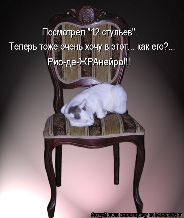 Котоматрица: Посмотрел "12 стульев". Теперь тоже очень хочу в этот... как его?... Теперь тоже очень хочу в этот... как его?... Рио-де-ЖРАнейро!!!