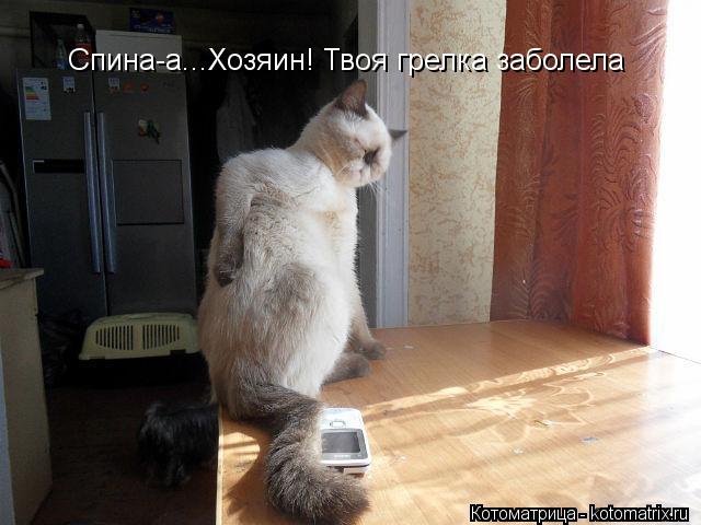 Котоматрица: Спина-а...Хозяин! Твоя грелка заболела