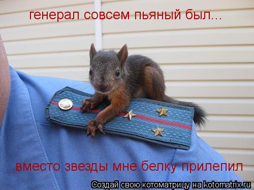 генерал совсем пьяный был... вместо звезды мне белку прилепил... Котоматрица: генерал совсем пьяный был... вместо звезды мне белку прилепил