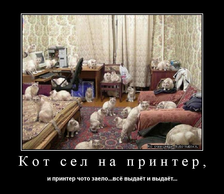 Кот сел на принтер, и принтер чото заело...всё выдаёт и выдаёт...... Котоматрица: Кот сел на принтер, и принтер чото заело...всё выдаёт и выдаёт...