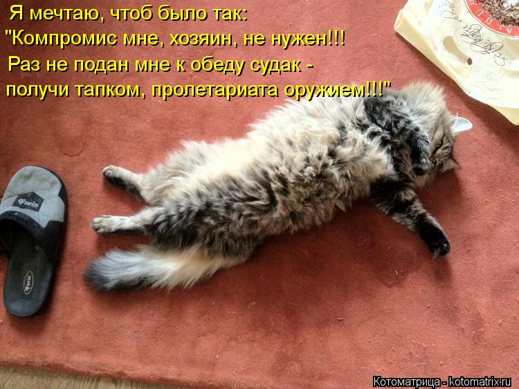 Котоматрица: Я мечтаю, чтоб было так:  "Компромис мне, хозяин, не нужен!!! получи тапком, пролетариата оружием!!!" Раз не подан мне к обеду судак -