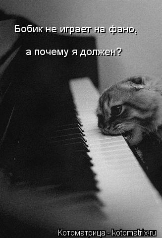 Бобик не играет на фано, а почему я должен?... Котоматрица: Бобик не играет на фано, а почему я должен?