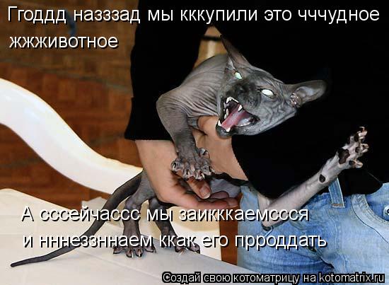 и нннеззннаем ккак его прроддать Ггоддд назззад мы кккупили это чччудное А сссейчассс мы заикккаемсс... Котоматрица: и нннеззннаем ккак его прроддать Ггоддд назззад мы кккупили это чччудное А сссейчассс мы заикккаемссся жжживотное
