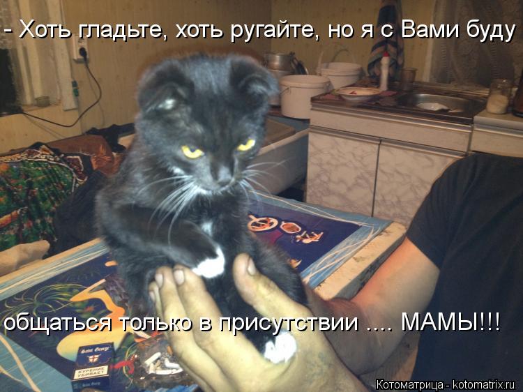 Котоматрица: - Хоть гладьте, хоть ругайте, но я с Вами буду общаться только в присутствии .... МАМЫ!!!