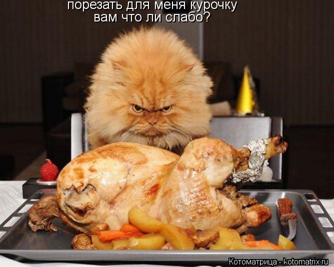 порезать для меня курочку вам что ли слабо?... Котоматрица: порезать для меня курочку вам что ли слабо?