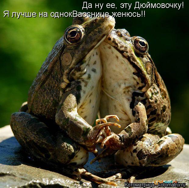 Да ну ее, эту Дюймовочку! Я лучше на однокВасснице женюсь!!... Котоматрица: Да ну ее, эту Дюймовочку! Я лучше на однокВасснице женюсь!!
