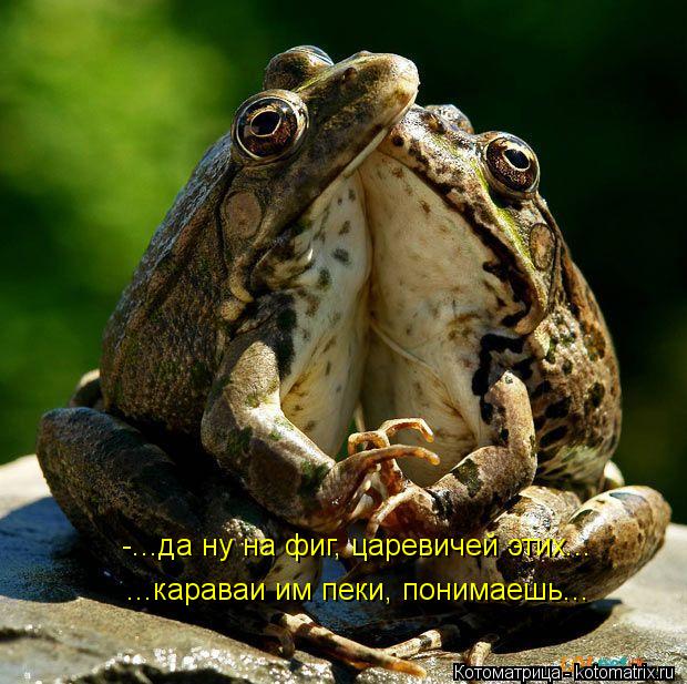 -...да ну на фиг, царевичей этих... ...караваи им пеки, понимаешь...... Котоматрица: -...да ну на фиг, царевичей этих... ...караваи им пеки, понимаешь...