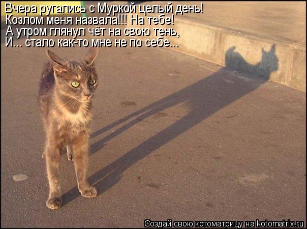 Вчера ругались с Муркой целый день! Козлом меня назвала!!! На тебе! А утром глянул чёт на свою тень, ... Котоматрица: Вчера ругались с Муркой целый день! Козлом меня назвала!!! На тебе! А утром глянул чёт на свою тень, И... стало как-то мне не по себе...