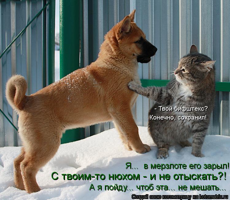А я пойду... чтоб эта... не мешать... С твоим-то нюхом - и не отыскать?! - Твой бифштекс? Конечно, с... Котоматрица: А я пойду... чтоб эта... не мешать... С твоим-то нюхом - и не отыскать?! - Твой бифштекс? Конечно, сохранил! Я... в мерзлоте его зарыл!