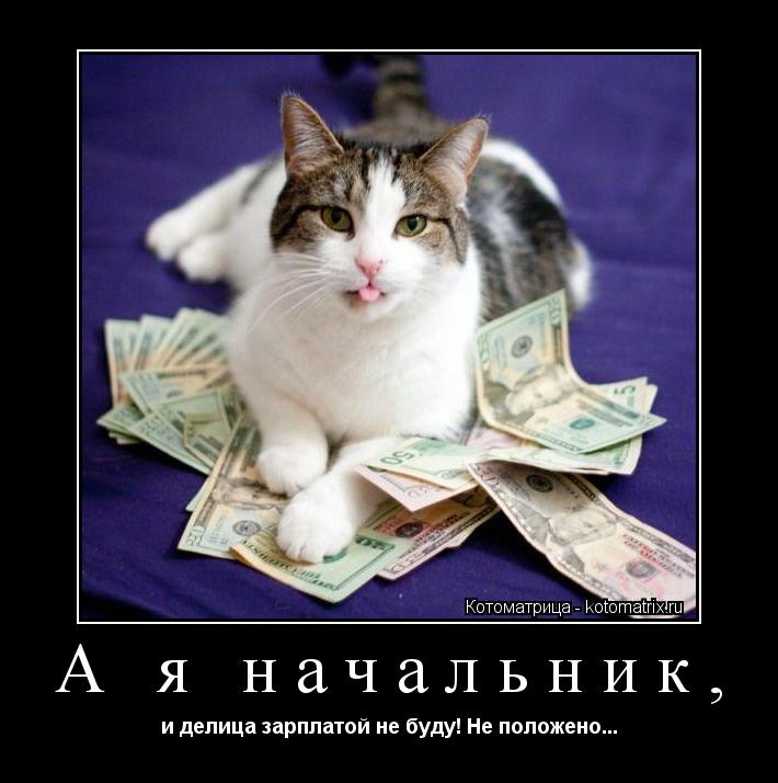 А я начальник, и делица зарплатой не буду! Не положено...... Котоматрица: А я начальник, и делица зарплатой не буду! Не положено...