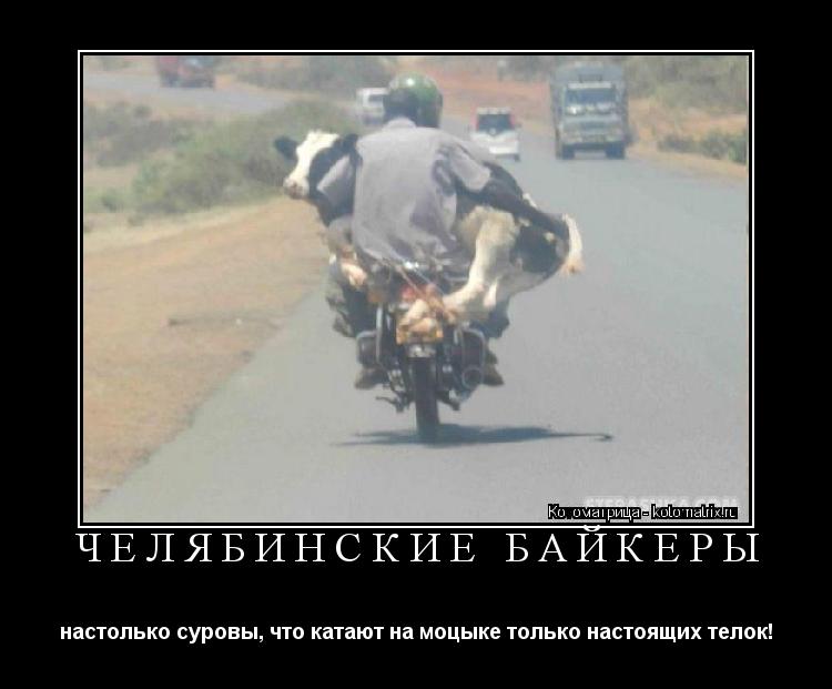 Голых мусульманок фото