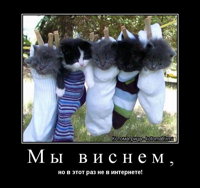 Мы виснем, но в этот раз не в интернете!... Котоматрица: Мы виснем, но в этот раз не в интернете!