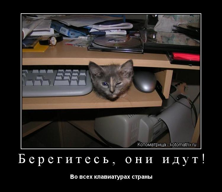 Берегитесь, они идут! Во всех клавиатурах страны... Котоматрица: Берегитесь, они идут! Во всех клавиатурах страны