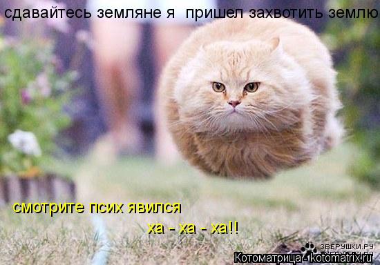 сдавайтесь земляне я пришел захвотить землю смотрите псих явился ха - ха - ха!!... Котоматрица: сдавайтесь земляне я пришел захвотить землю смотрите псих явился ха - ха - ха!!