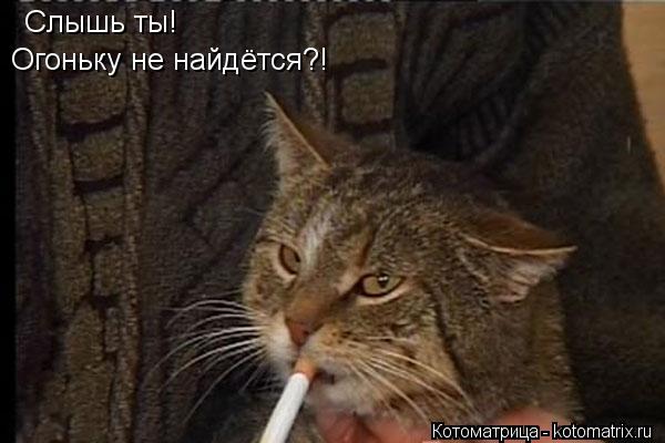 Котоматрица: Слышь ты! Огоньку не найдётся?!