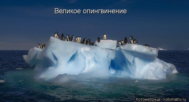 Котоматрица: Великое опингвинение