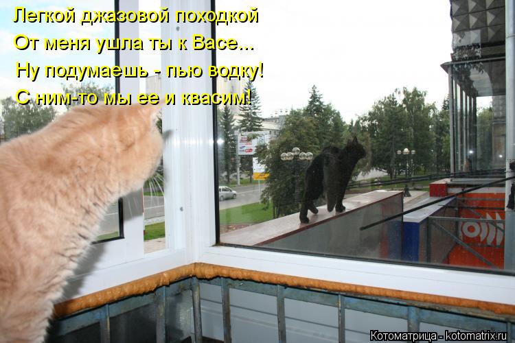 Легкой джазовой походкой От меня ушла ты к Васе... Ну подумаешь - пью водку! С ним-то мы ее и квасим!... Котоматрица: Легкой джазовой походкой От меня ушла ты к Васе... Ну подумаешь - пью водку! С ним-то мы ее и квасим!