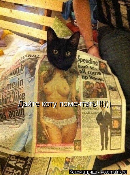 Котоматрица: Дайте коту помечтать!!!)))