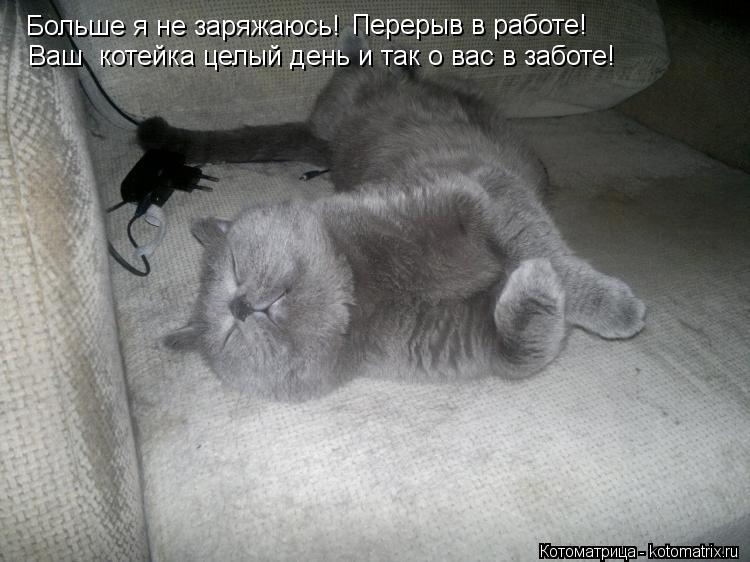 Котоматрица: Больше я не заряжаюсь! Перерыв в работе! Ваш  котейка целый день и так о вас в заботе!