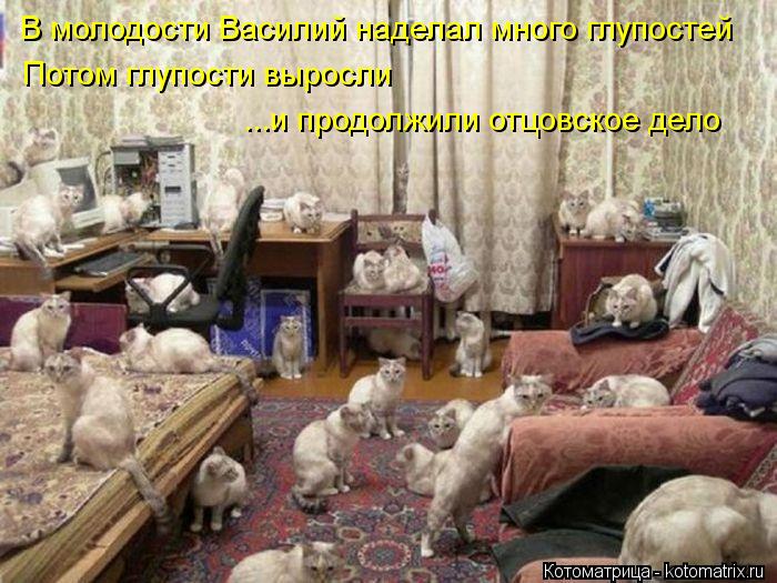 В молодости Василий наделал много глупостей Потом глупости выросли ...и продолжили отцовское дело... Котоматрица: В молодости Василий наделал много глупостей Потом глупости выросли ...и продолжили отцовское дело