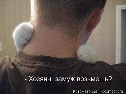 Котоматрица: - Хозяин, замуж возьмёшь?