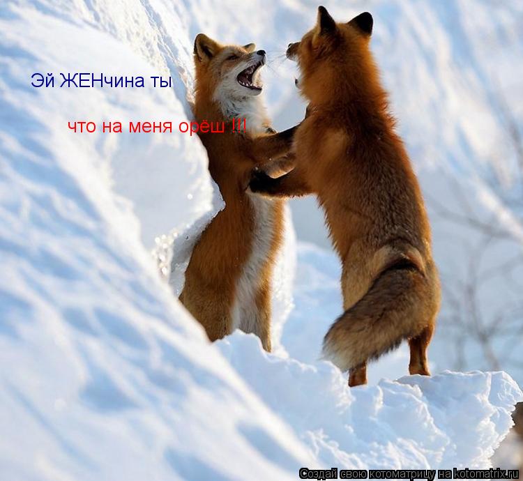 Котоматрица: Эй ЖЕНчина ты  что на меня орёш !!!
