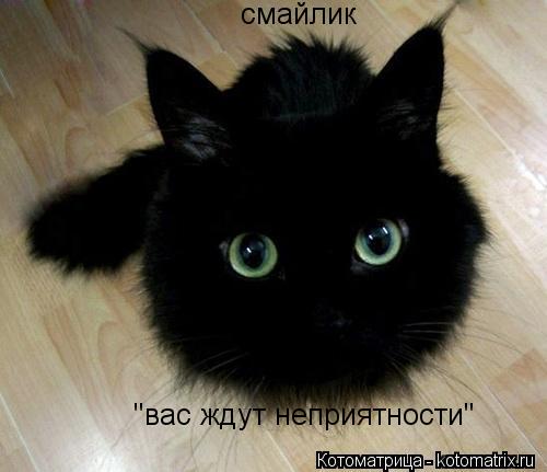 Котоматрица: смайлик "вас ждут неприятности"