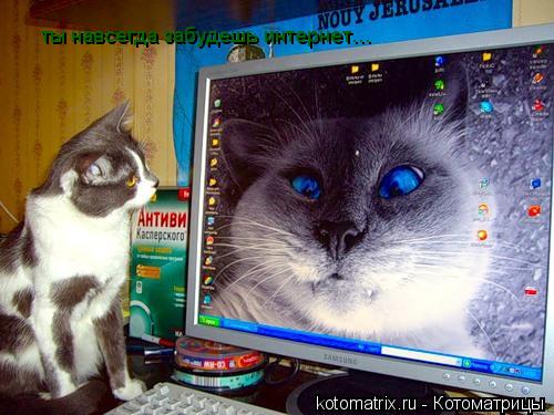 Котоматрица: ты навсегда забудешь интернет…
