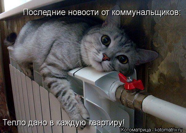 Котоматрица: Последние новости от коммунальщиков: Тепло дано в каждую квартиру!