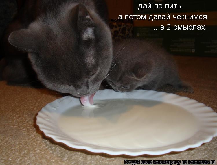 Котоматрица: дай по пить  ...а потом давай чекнимся ...в 2 смыслах