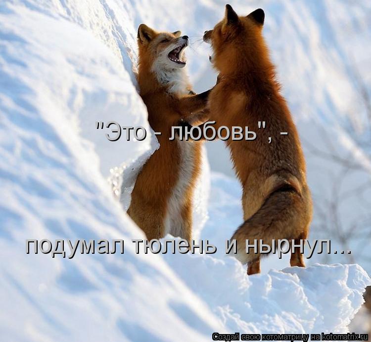 Котоматрица: "Это - любовь", - подумал тюлень и нырнул...