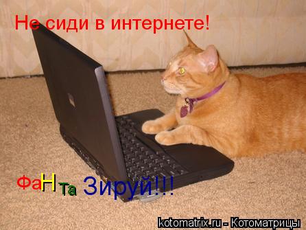 Котоматрица: Не сиди в интернете! Фа Н Та Зируй!!!