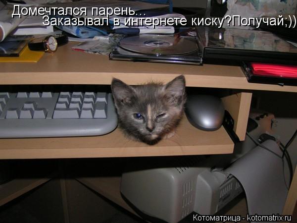 Котоматрица: Домечтался парень... Заказывал в интернете киску?Получай;)))
