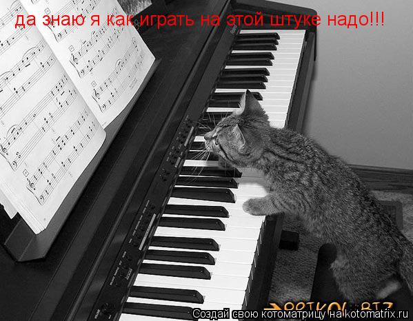 Котоматрица: да знаю я как играть на этой штуке надо!!!