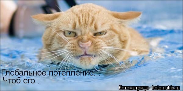 Котоматрица: Глобальное потепление... Чтоб его...